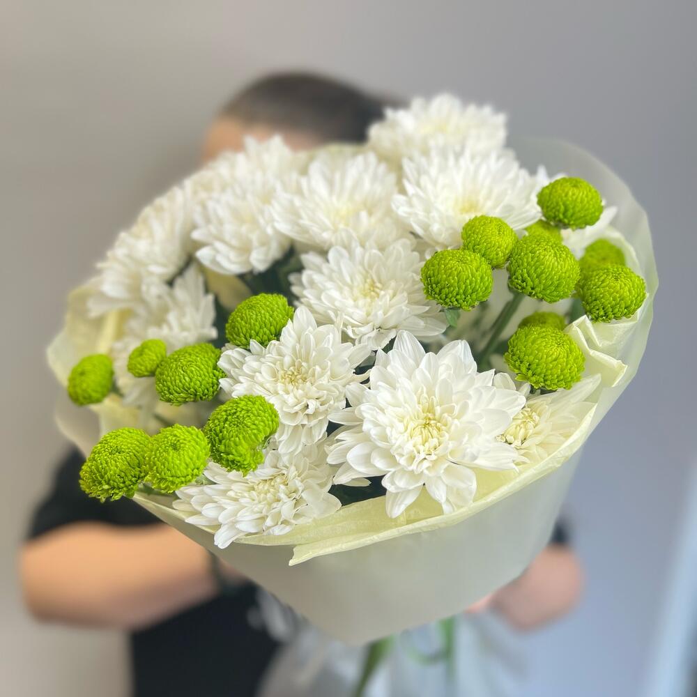 Эксклюзивный букет «Филин Грин» – сочетание белых и зеленых хризантем Адыгейск Республика Адыгея