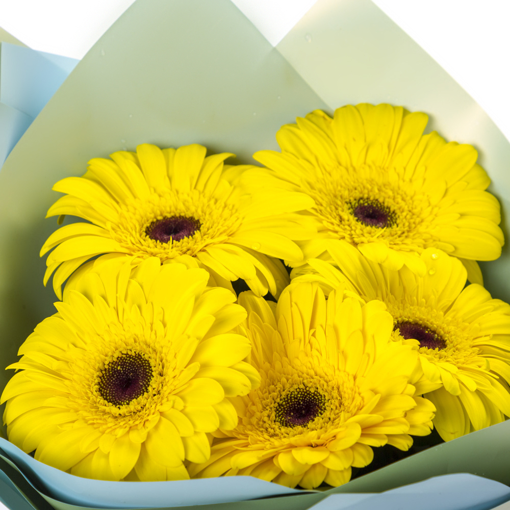 Яркий букет из 5 жёлтых гербер – как кусочек солнца в ваших руках Адыгейск Республика Адыгея