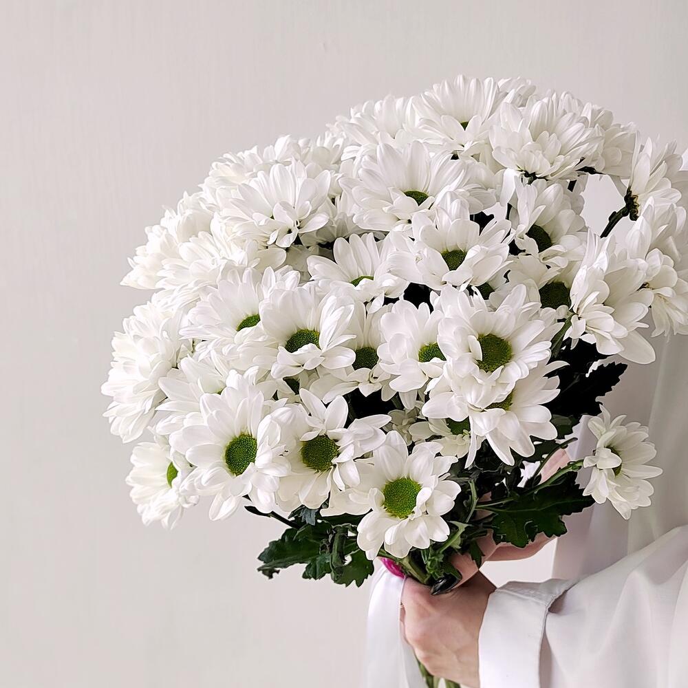 Букет «Ромашка» – 9 белоснежных хризантем в деревенском стиле Адыгейск Республика Адыгея