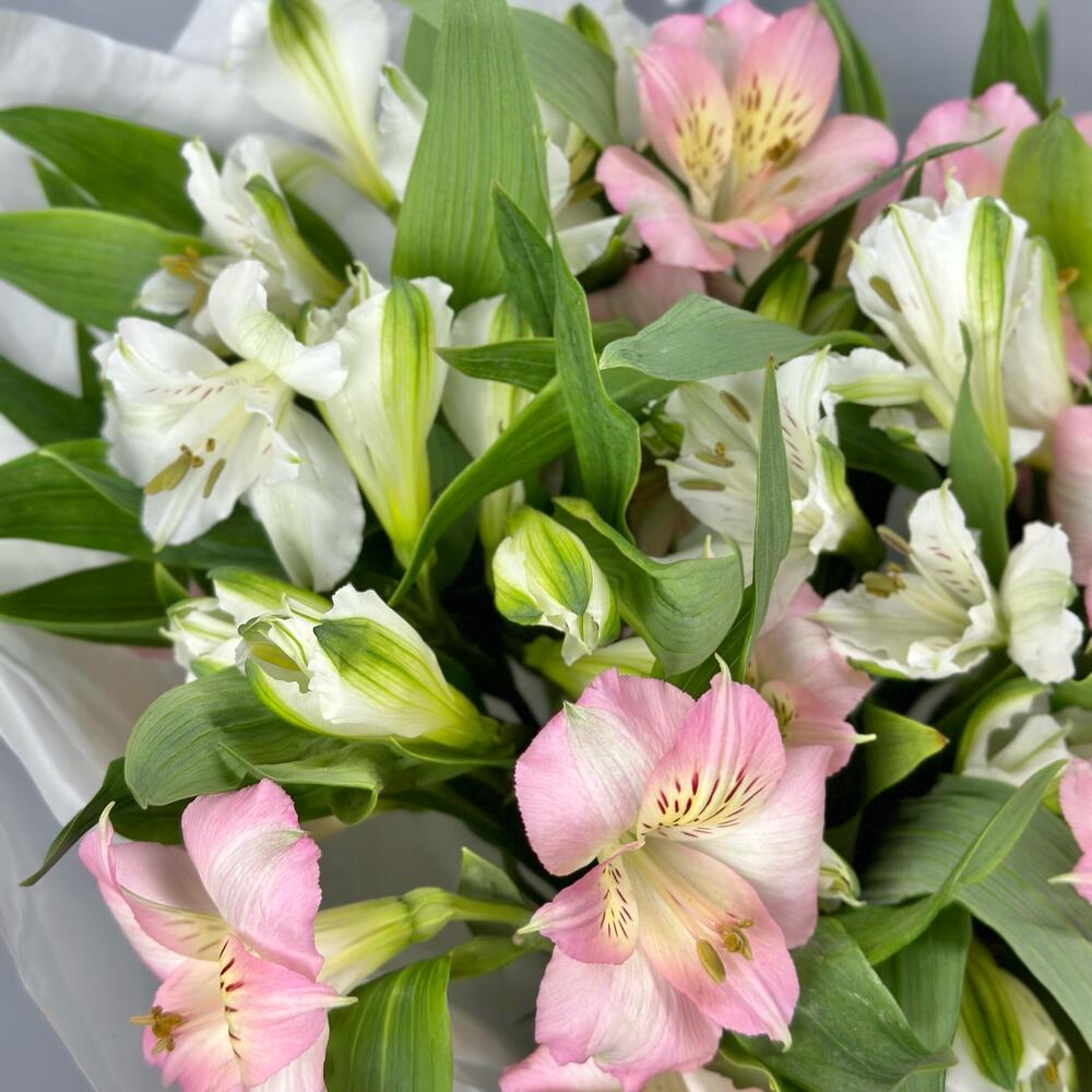 Букет «Нежность» – трогательное сочетание белых и розовых альстромерий Адыгейск Республика Адыгея