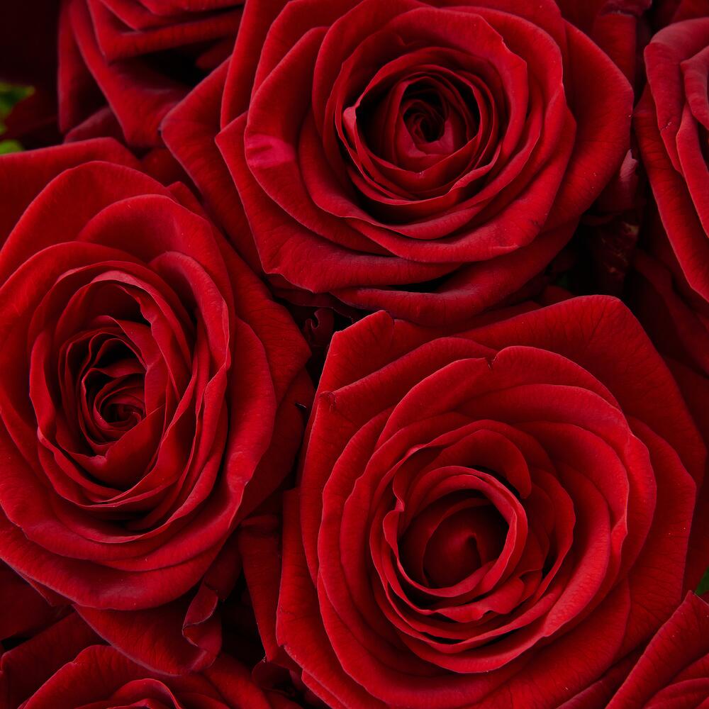 Роскошный букет из 21 красной розы – воплощение искренних чувств Адыгейск Республика Адыгея