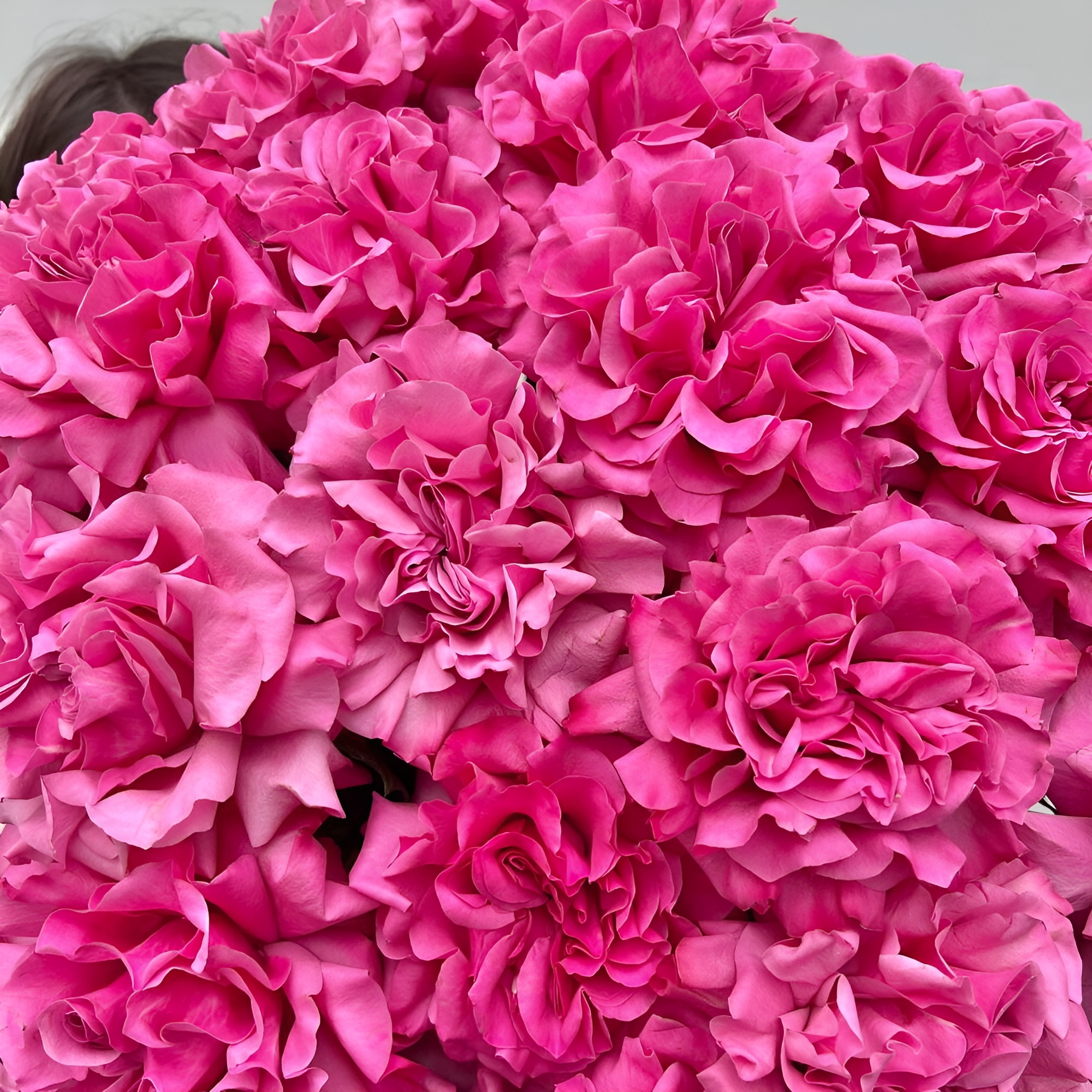 Роскошный букет из пионовидных роз – королевский подарок Адыгейск Республика Адыгея