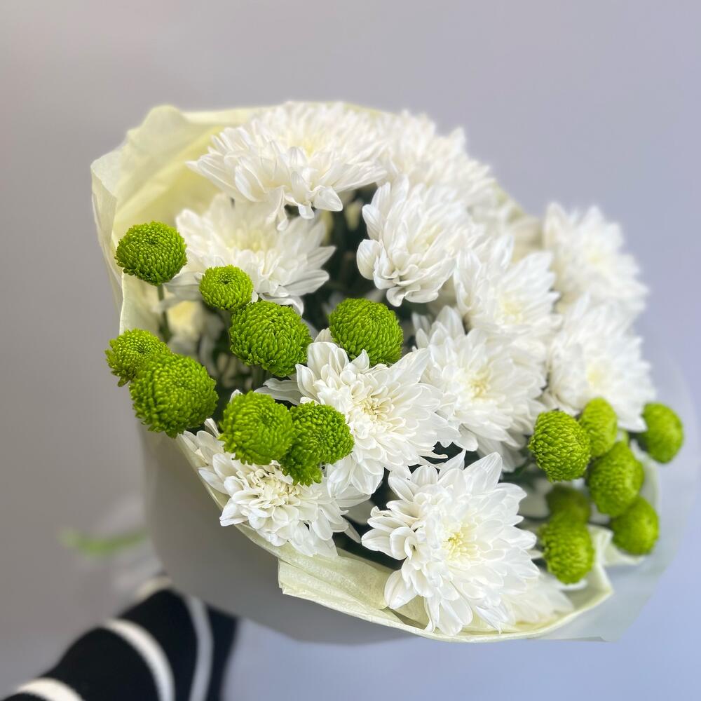 Эксклюзивный букет «Филин Грин» – сочетание белых и зеленых хризантем Адыгейск Республика Адыгея