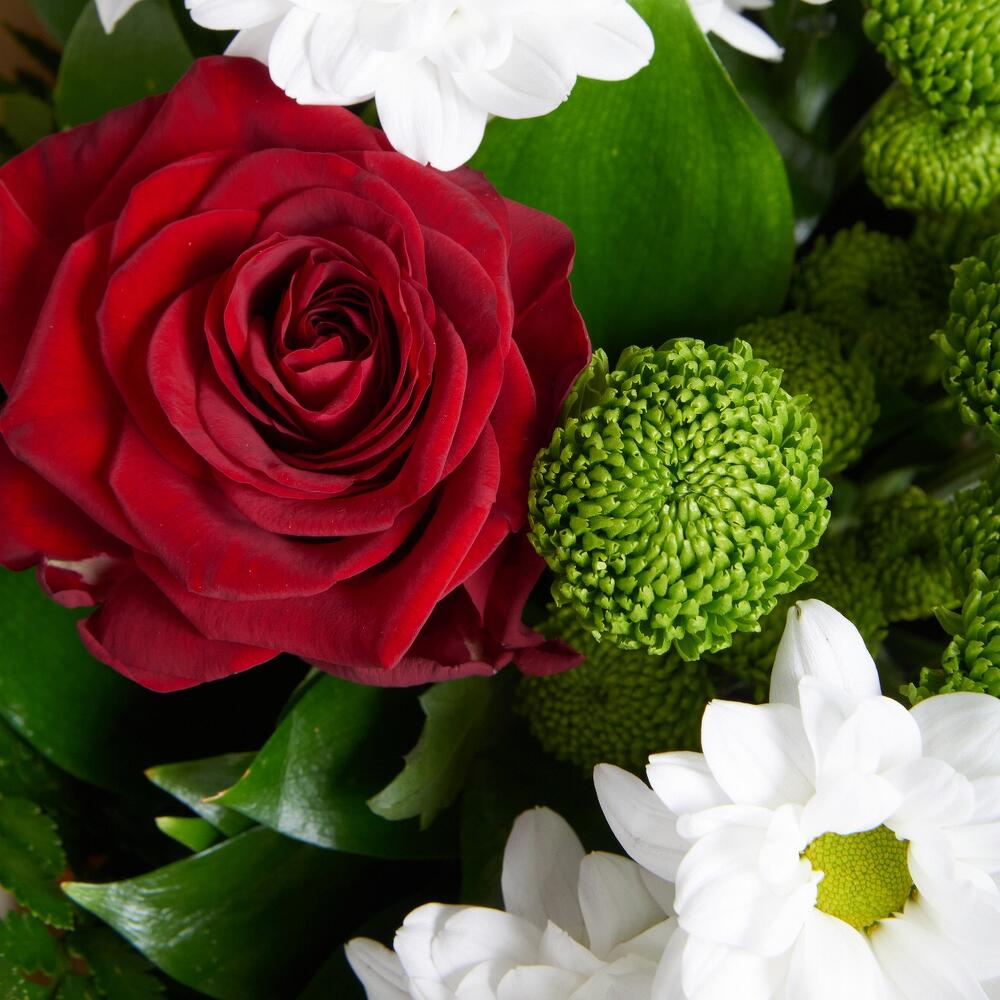 Букет «Настроение» – гармония красных эквадорских роз и нежных хризантем Адыгейск Республика Адыгея
