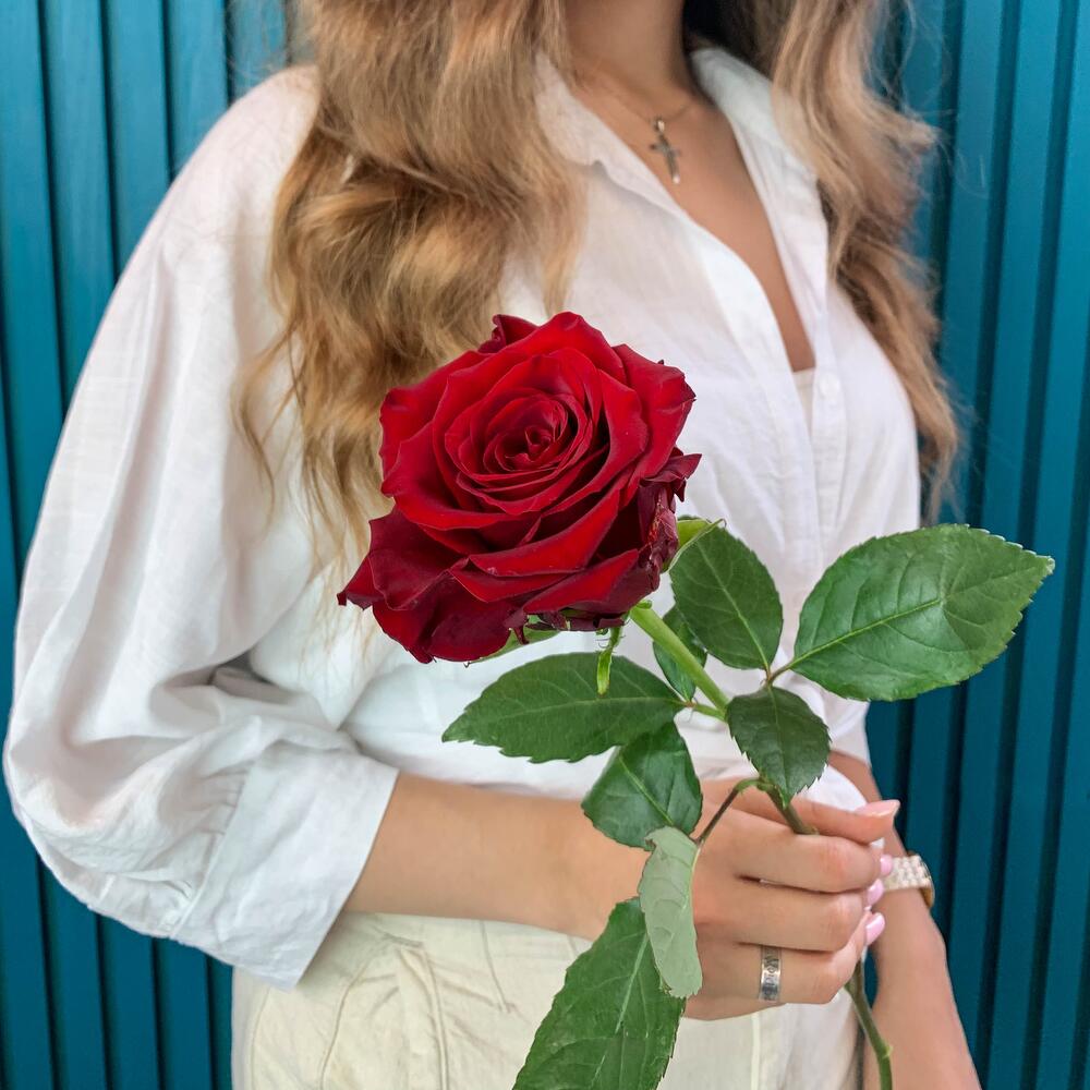 Комплимент из красной эквадорской розы – минимализм роскоши Адыгейск Республика Адыгея