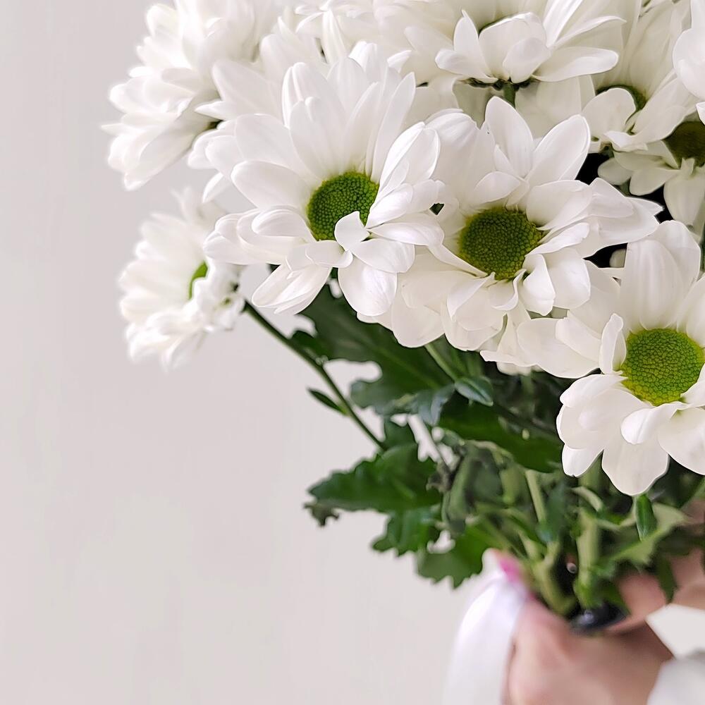 Букет «Ромашка» – 9 белоснежных хризантем в деревенском стиле Адыгейск Республика Адыгея
