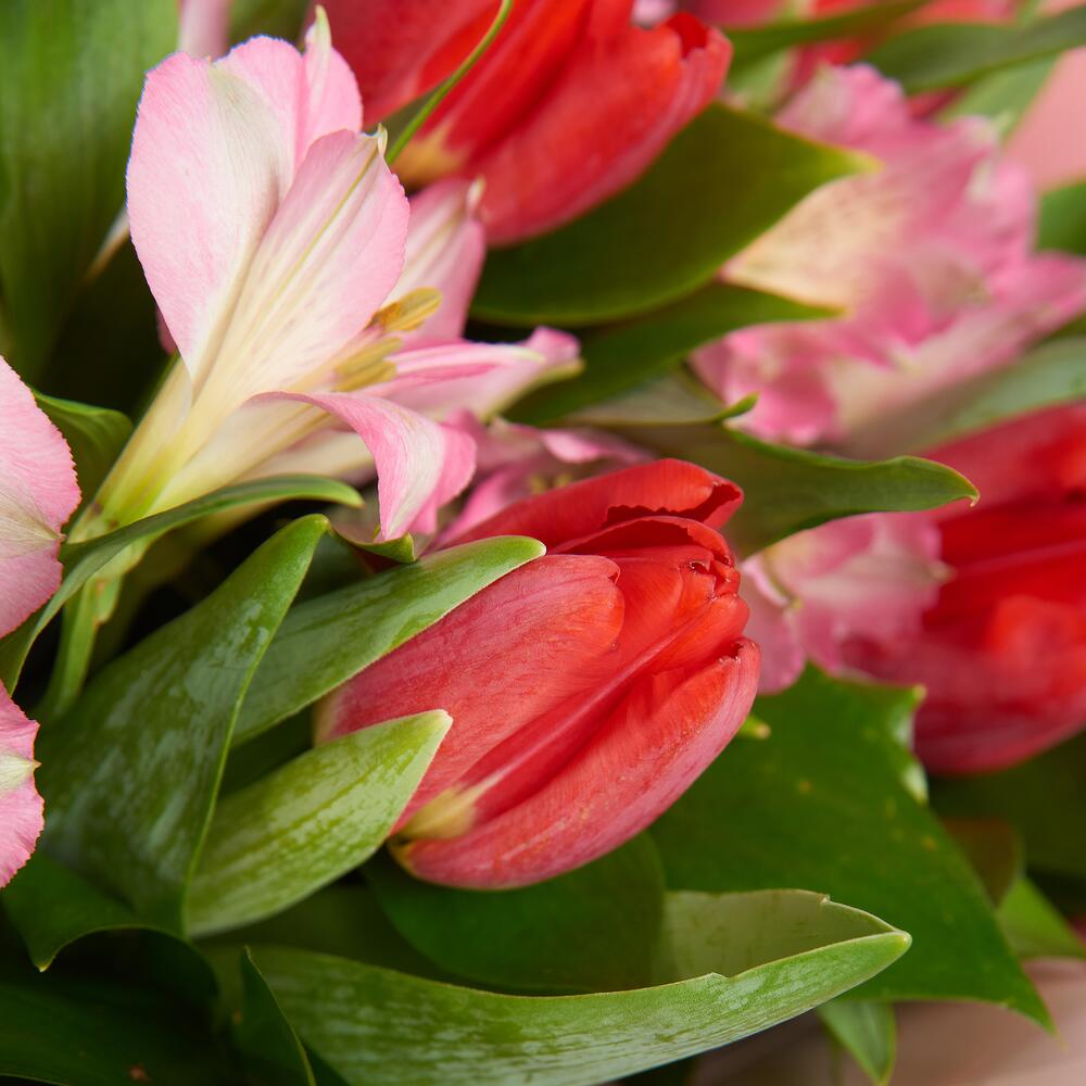 Букет «Первый поцелуй» красных тюльпанов и розовых альстромерий Адыгейск Республика Адыгея