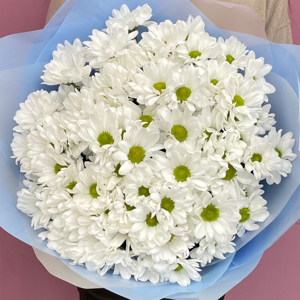 Букет «Ромашковое поле» – свежесть белых хризантем Адыгейск Республика Адыгея