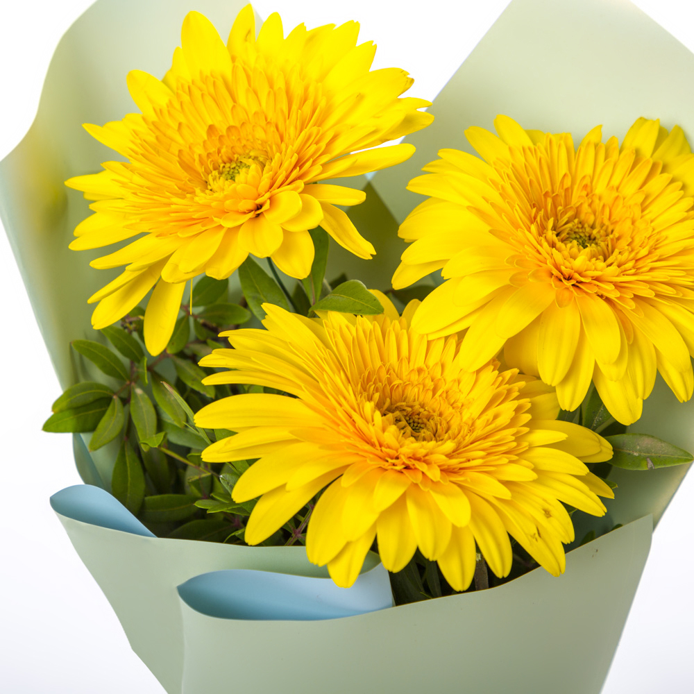 Яркий букет из 3 жёлтых гербер – частичка солнечного света Адыгейск Республика Адыгея
