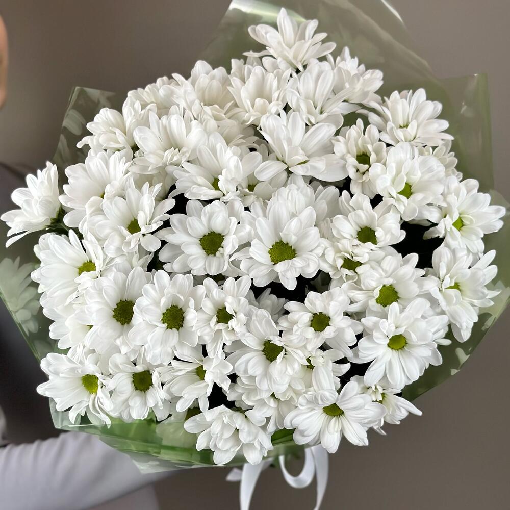 Букет «Мечты о лете» – свежесть белых хризантем Адыгейск Республика Адыгея