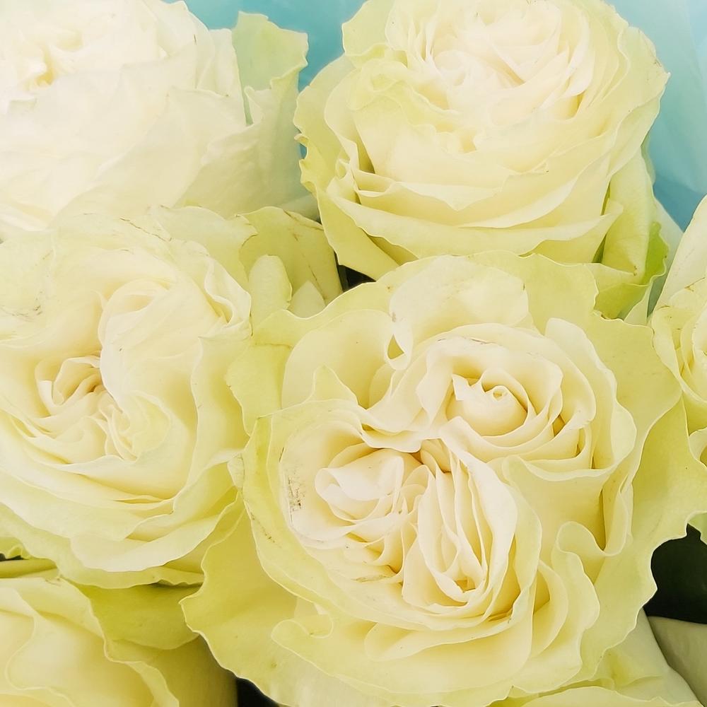 Букет «Кружевное облачко» – 11 белоснежных роз в нежной упаковке Адыгейск Республика Адыгея