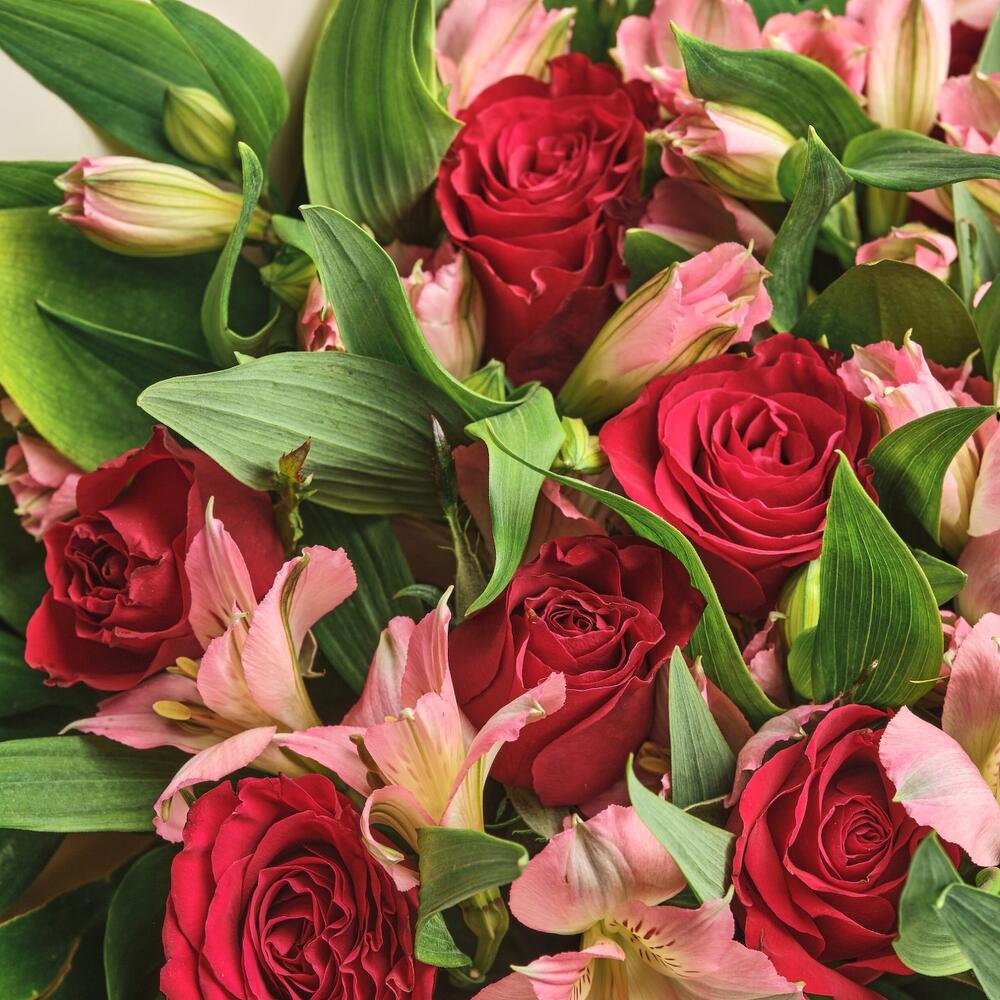 Букет «Нежность слов» — гармония красных роз и нежных альстромерий Адыгейск Республика Адыгея
