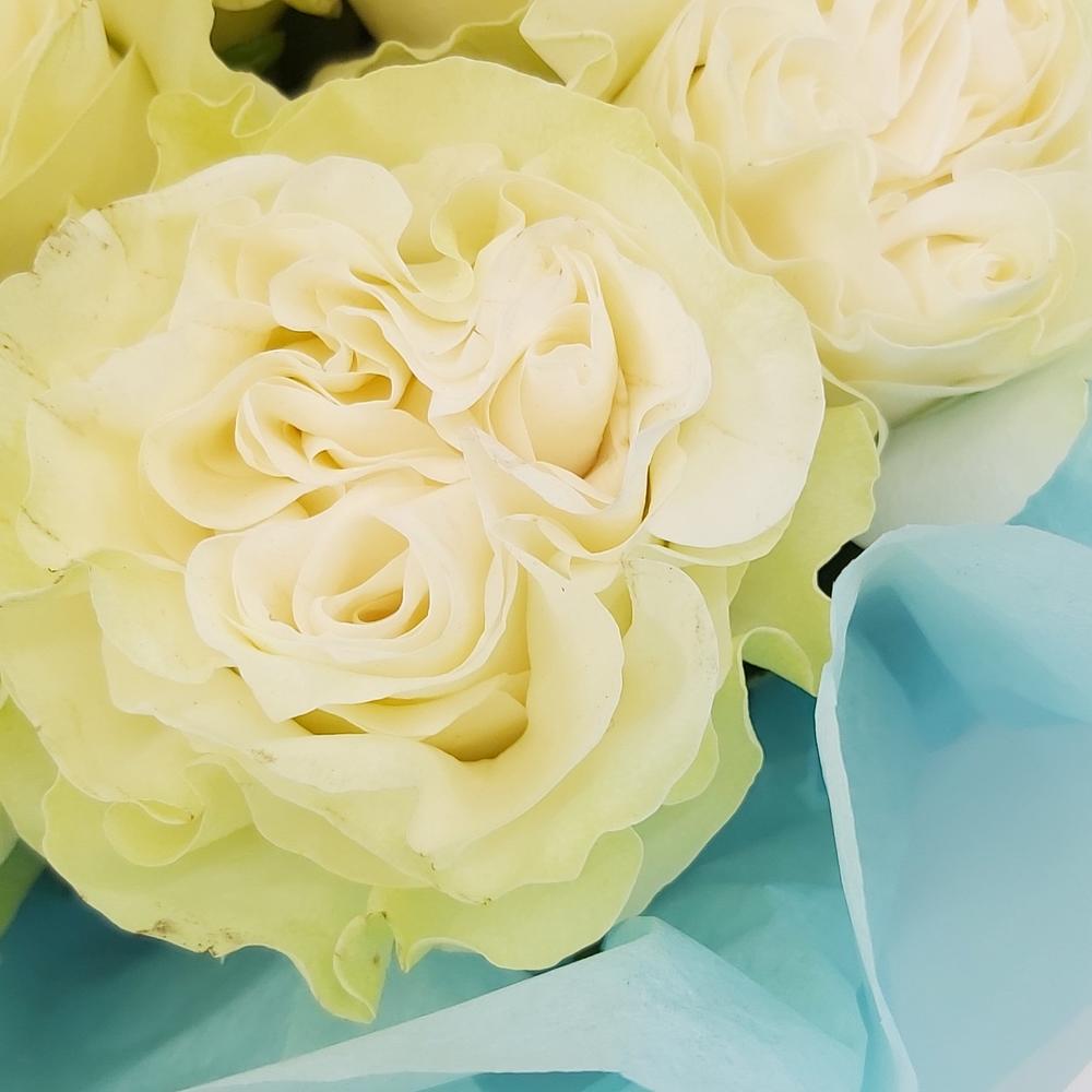 Букет «Кружевное облачко» – 11 белоснежных роз в нежной упаковке Адыгейск Республика Адыгея