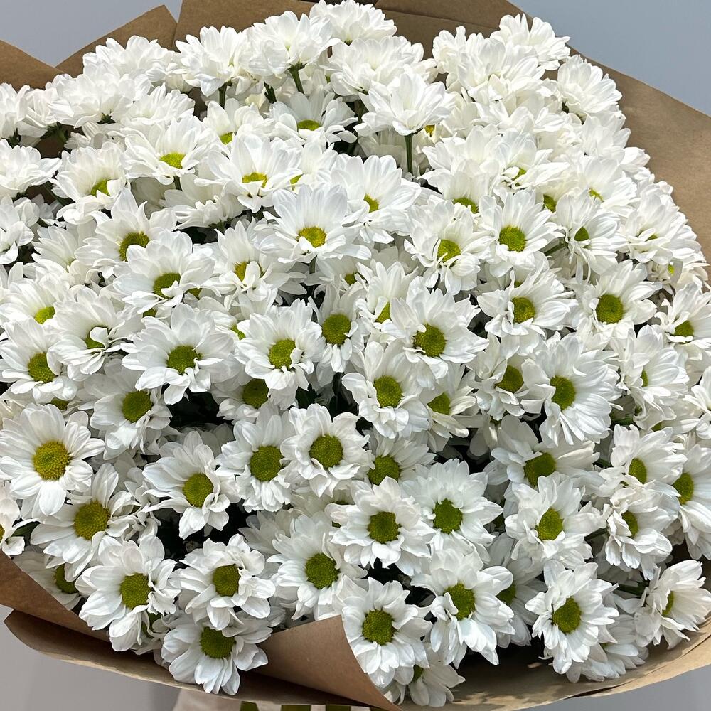 Букет «21 ромашка» – нежные белые кустовые хризантемы в натуральном стиле Адыгейск Республика Адыгея