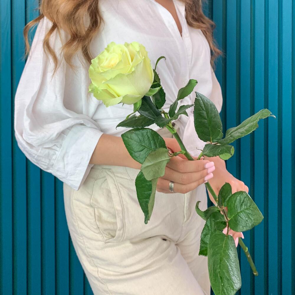 Комплимент из белой эквадорской розы – элегантность в каждом лепестке Адыгейск Республика Адыгея