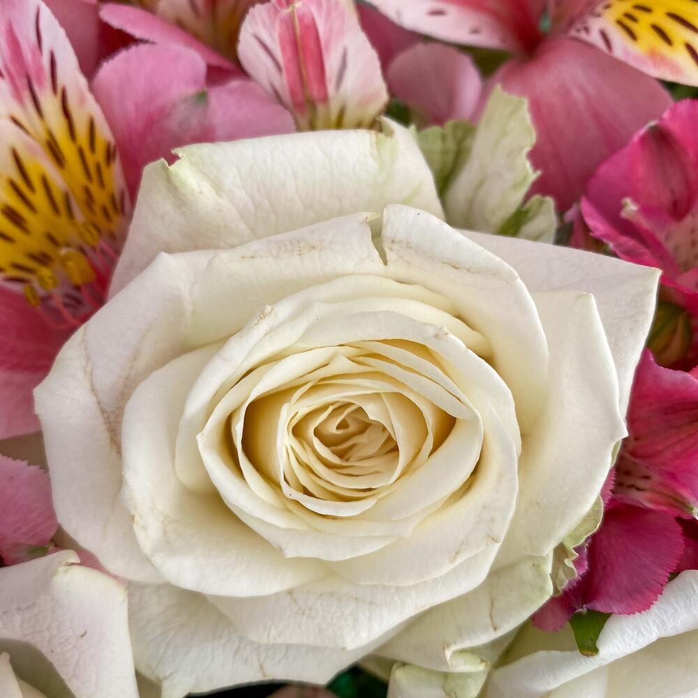 Букет «Николь» – изысканное сочетание роз, кустовых роз и альстромерий Адыгейск Республика Адыгея