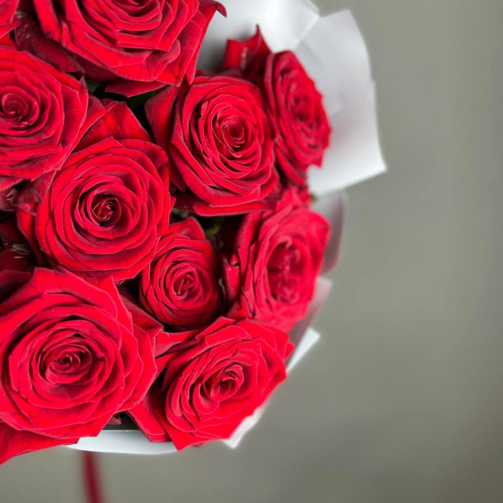 «Королевский бархат» – 25 роскошных красных роз из Эквадора  Адыгейск Республика Адыгея