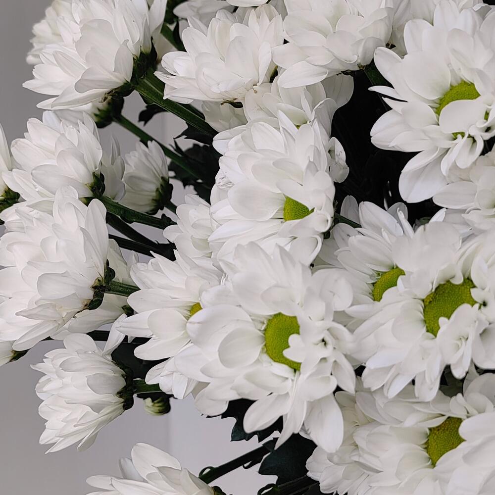 Букет «Ромашка» — свежесть белых хризантем в деревенском стиле Адыгейск Республика Адыгея