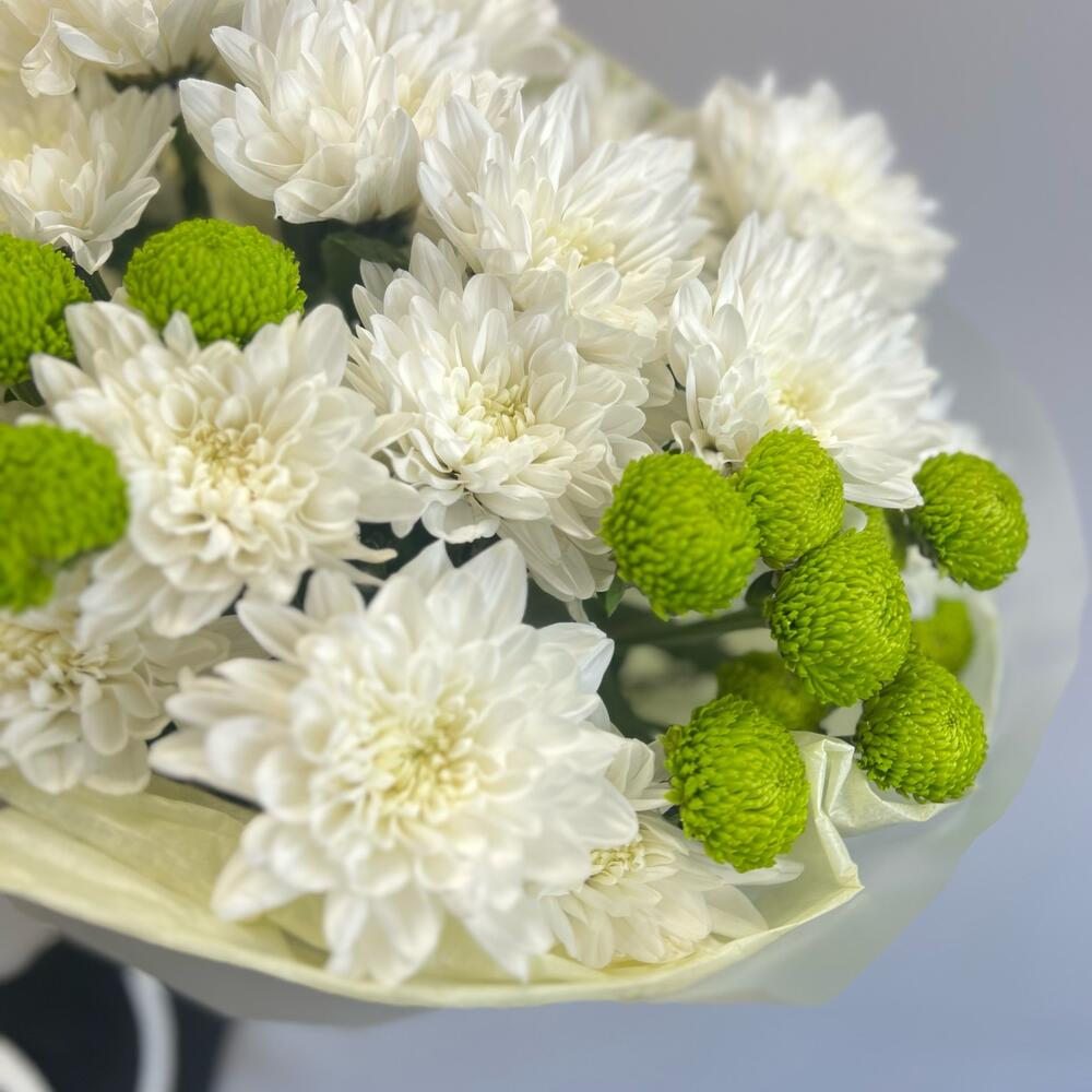 Эксклюзивный букет «Филин Грин» – сочетание белых и зеленых хризантем Адыгейск Республика Адыгея