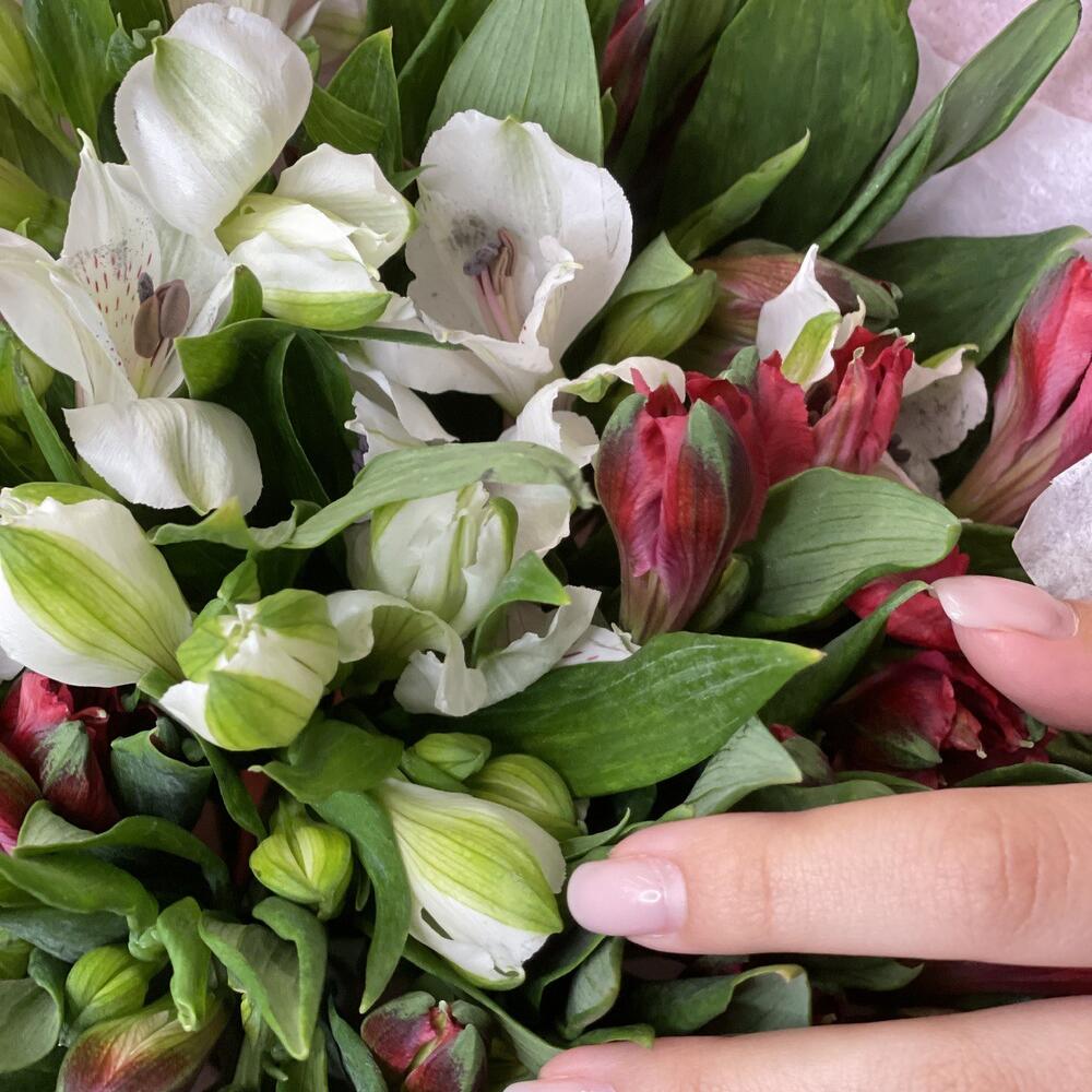 Букет «Люблю»– страсть и чистота в красно-белых альстромериях Адыгейск Республика Адыгея