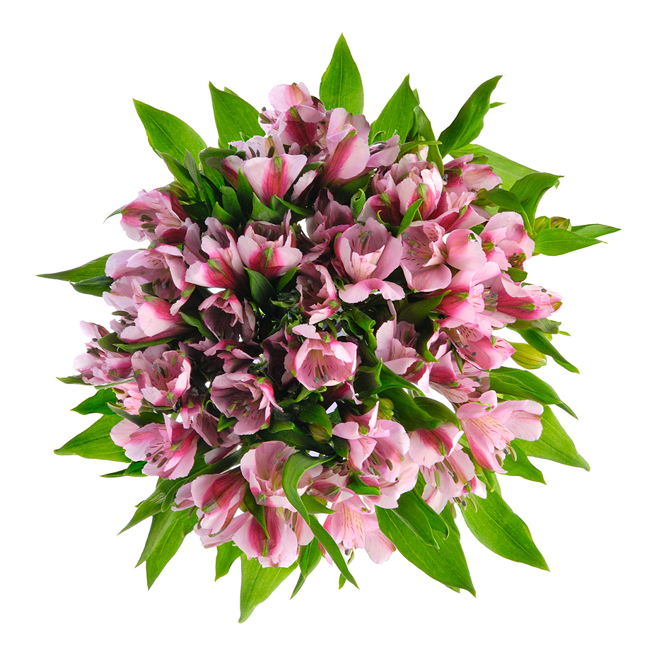 Букет «Хорошее настроение» из розовых альстромерий – солнечный подарок Адыгейск Республика Адыгея