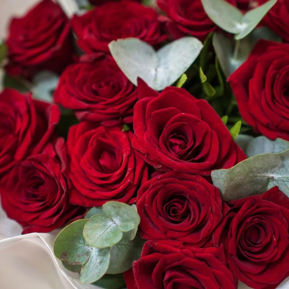 Элегантный букет из 15 красных роз с эвкалиптом – символ страсти и нежности Адыгейск Республика Адыгея
