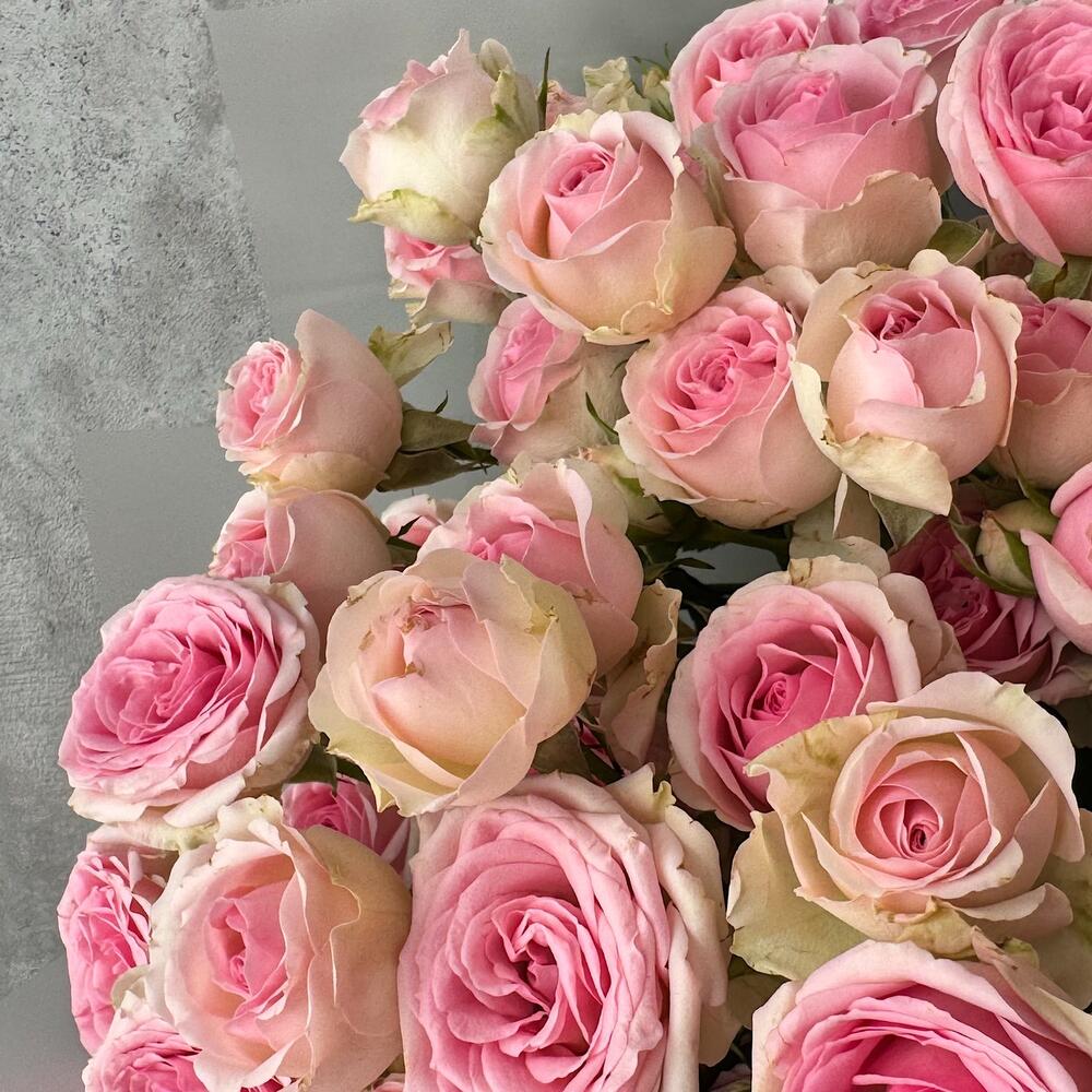 Букет «Нежный аромат» – пышные розовые кустовые розы в элегантной упаковке Адыгейск Республика Адыгея